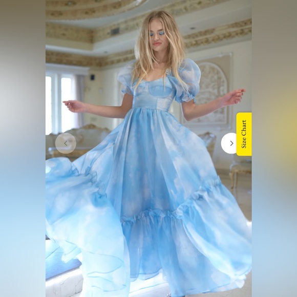 NWOT SELKIE Head in the Clouds Ritz Gown M/L Full Cup - Picture 3 of 5